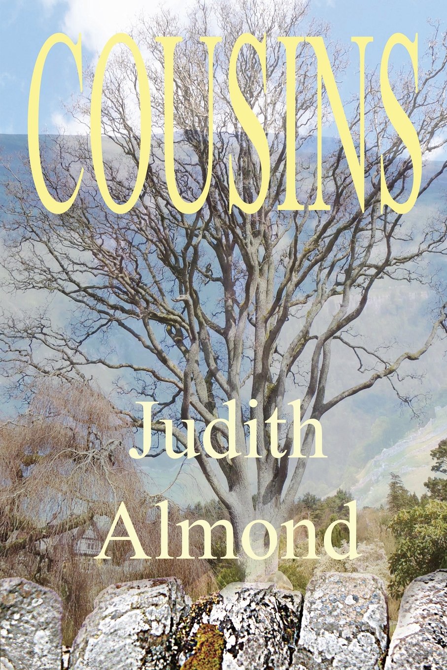 Image: Book cover for Cousins by Judith Almond