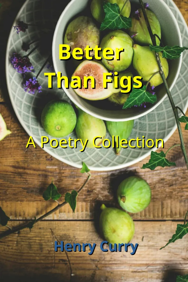 Image: Gallery: Members' Book Covers, image: curry-better-than-figs