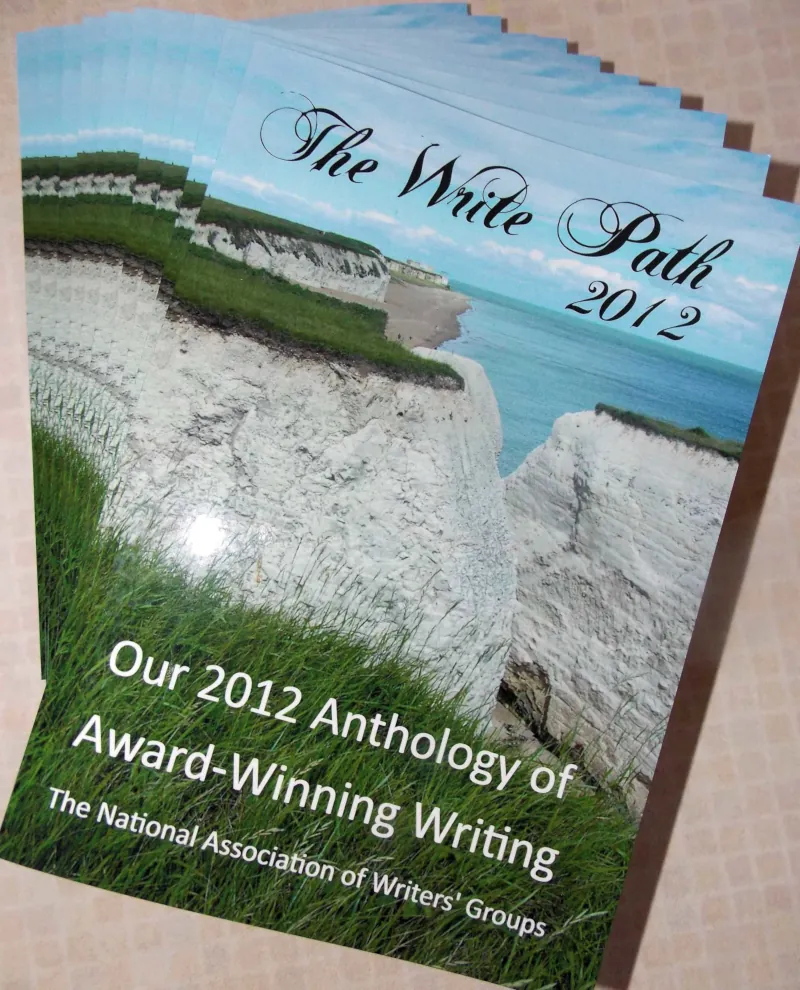Image: Book cover for The Write Path 2012
