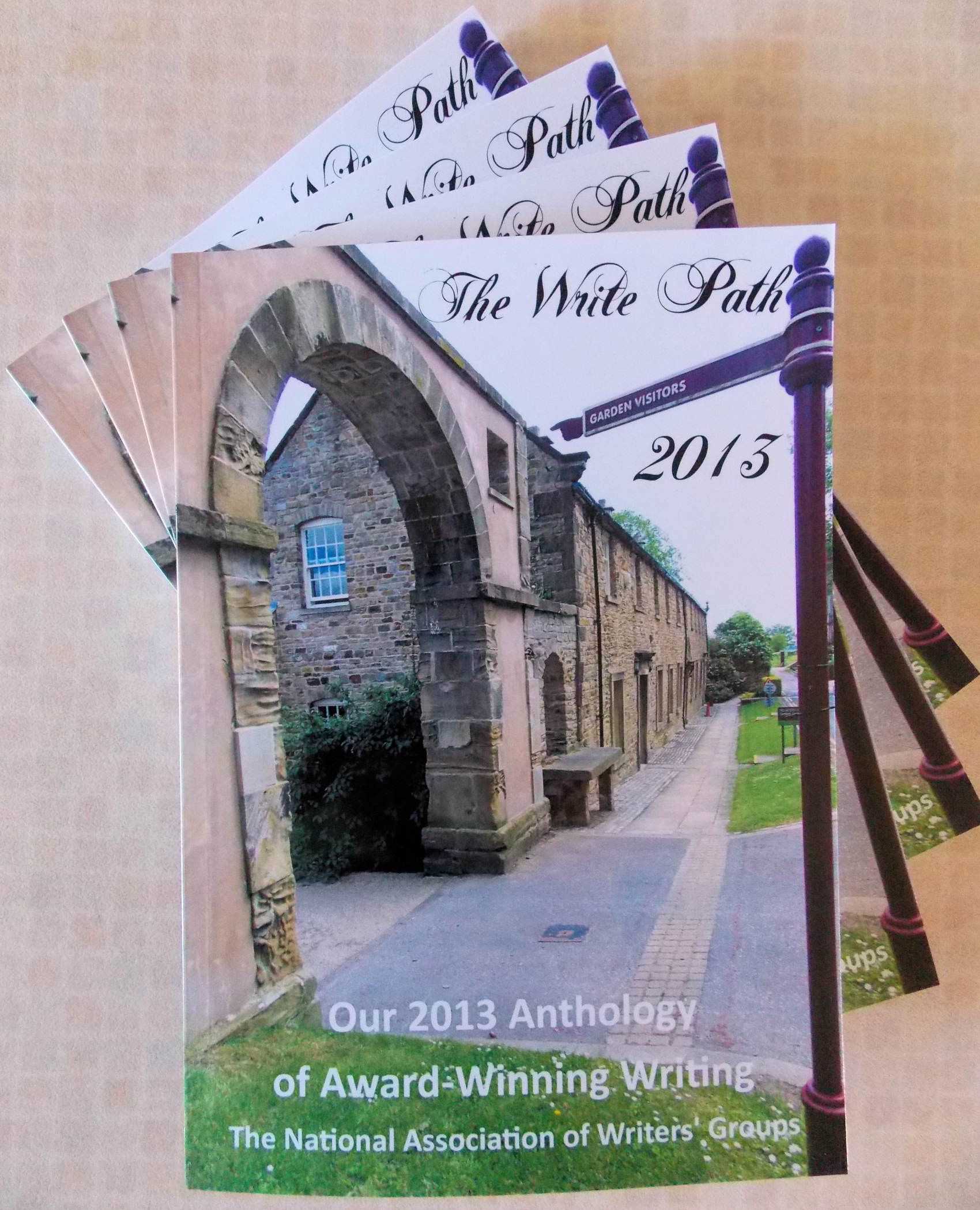 Image: Book cover for The Write Path 2013