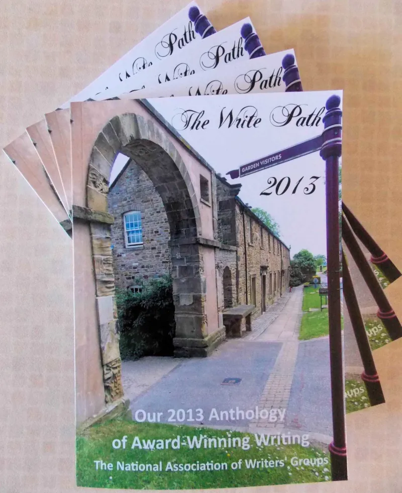 Image: Book cover for The Write Path 2013