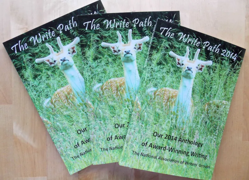 Image: Book covers for The Write Path 2014
