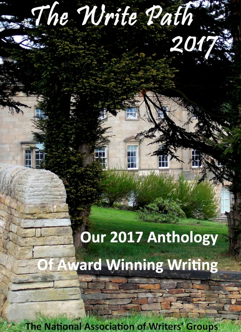 Image: Book cover for The Write Path 2017