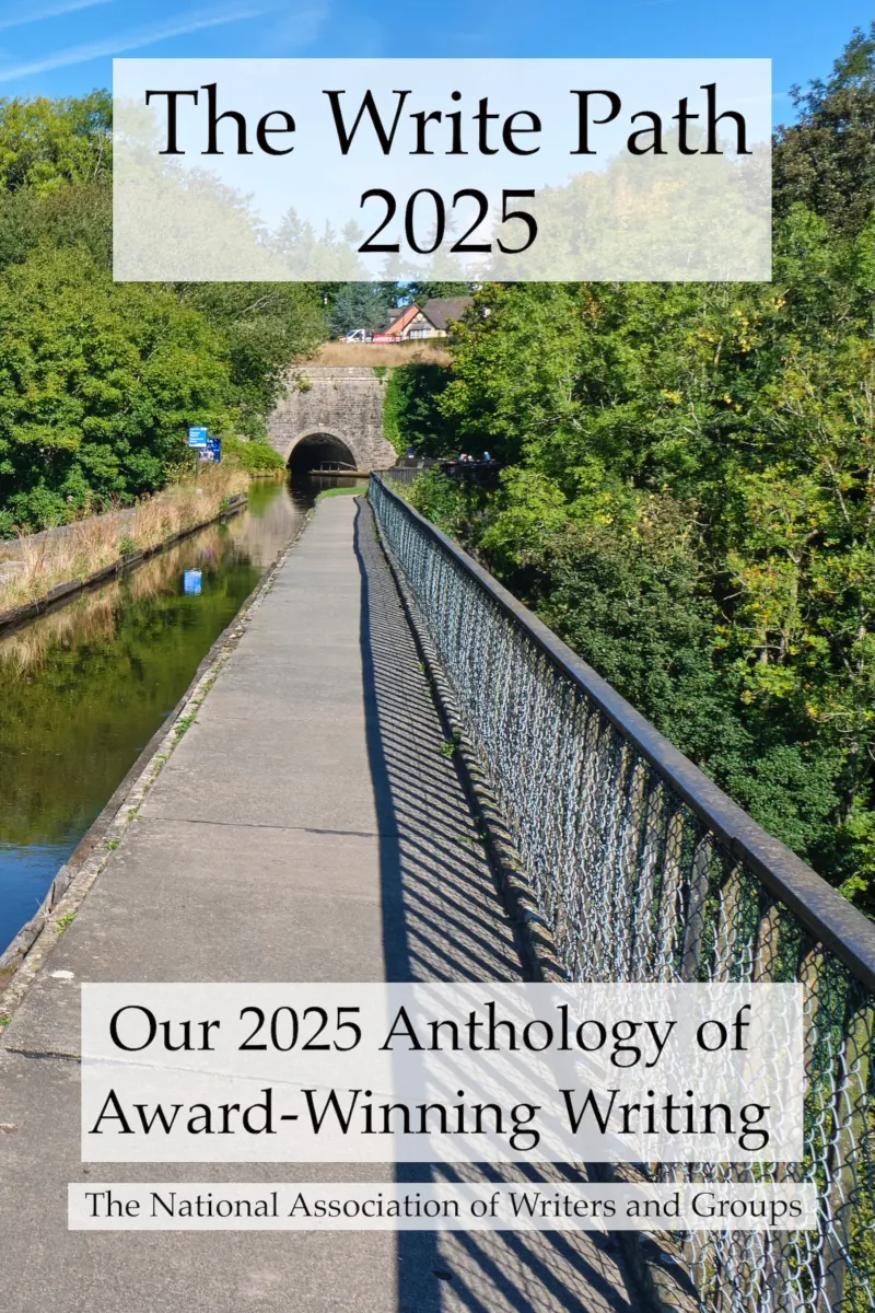 Image: Book cover for The Write Path 2025