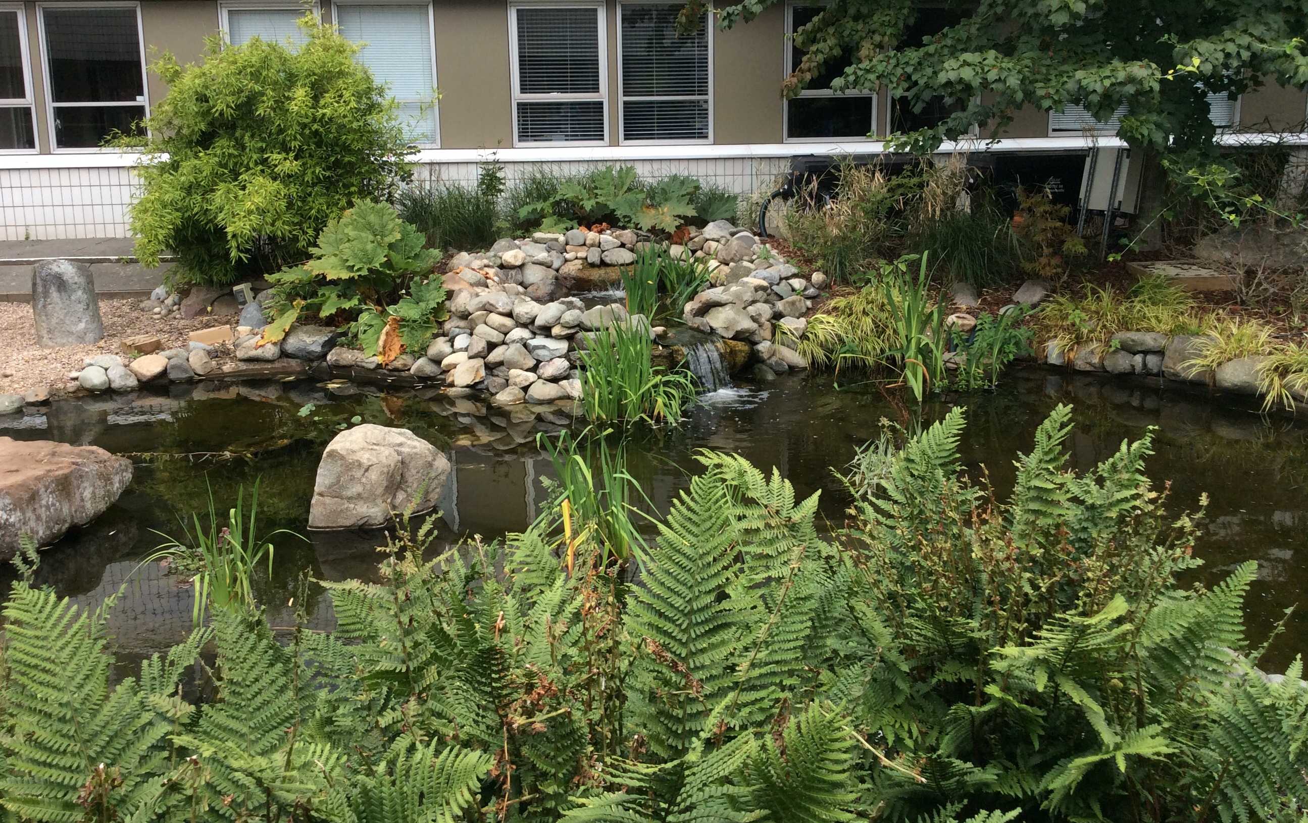 Image: Photograph of the garden, Humanities building (1)