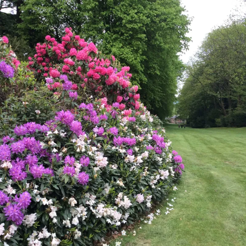 Image: Gallery: Wentworth &ndash; May 2016, image: wentworth-2016-gardens