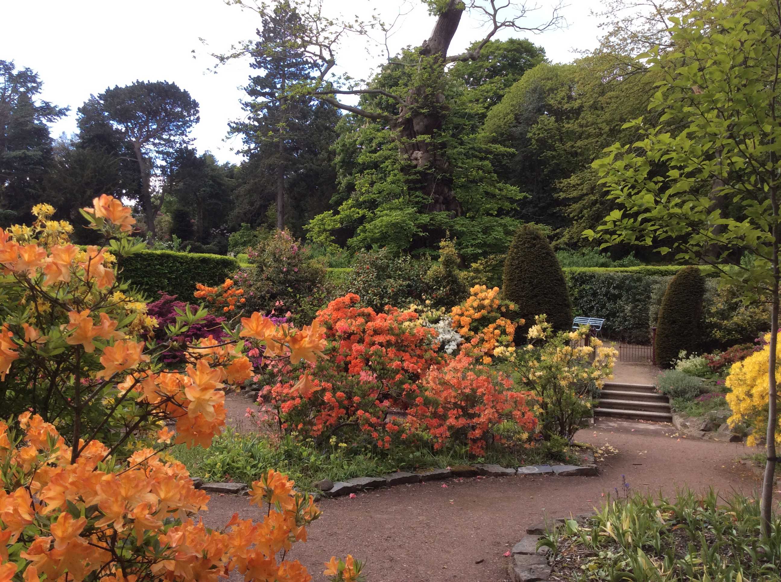 Image: The gardens at Wentworth