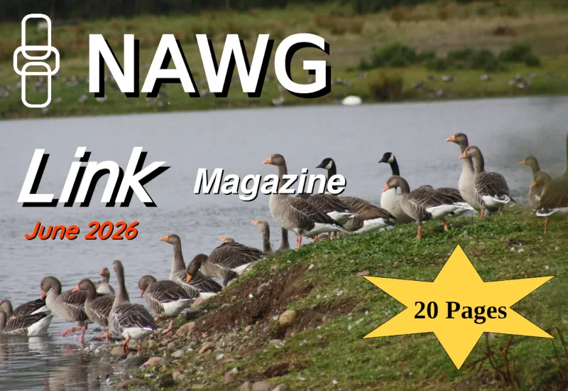 Image: Cover of a previous edition of Link magazine