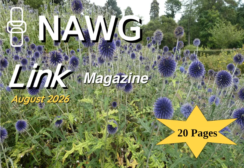 Image: Cover of a recent edition of Link magazine