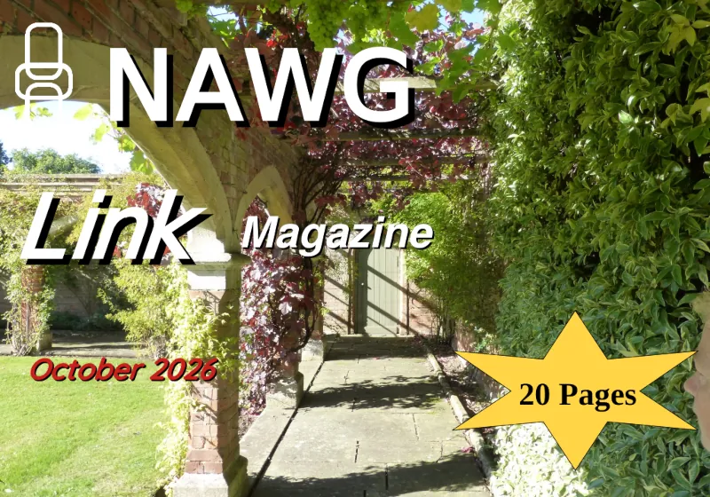 Image: Cover of a recent edition of Link magazine